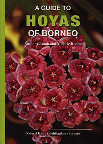 Guide to Hoyas of Borneo