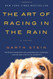 Art of Racing in the Rain: A Novel By Garth Stein
