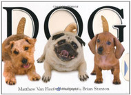 Dog by Matthew Van Fleet (2007-10-01)