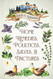 Home Remedies Poultices Salves and Tinctures