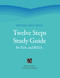 Debtors Anonymous Twelve Steps Study Guide for D.A. and B.D.A.