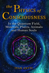 Physics of Consciousness