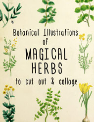 Botanical Illustrations of Magical Herbs to Cut Out and Collage