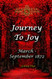 Journey To Joy