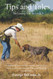 Tips and Tales: On Training Your Bird Dog