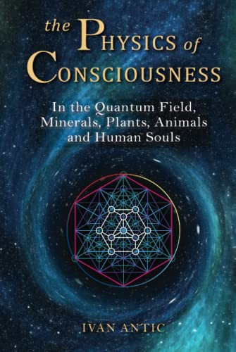 Physics of Consciousness