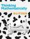 Thinking Mathematically by Robert F Blitzer