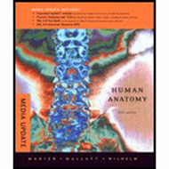 Human Anatomy  by Marieb