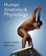 Human Anatomy And Physiology -   by Marieb