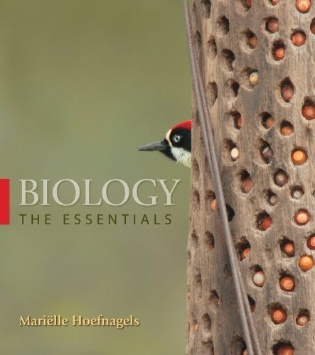 Biology The Essentials