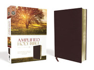 Amplified Holy Bible Bonded Leather Burgundy
