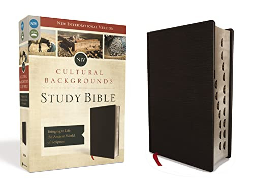 NIV Cultural Backgrounds Study Bible Bonded Leather Black Red