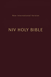 NIV Holy Bible Compact Burgundy Comfort Print