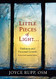 Little Pieces of Light: Darkness and Personal Growth