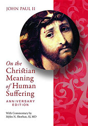 Christian Meaning Suffering Anniv Ed