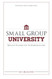 Small Group University