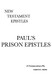 Paul's Prison Epistles: A Critical & Exegetical Commentary