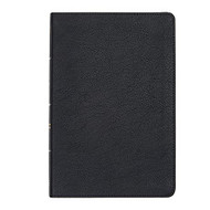CSB Large Print Thinline Bible Black LeatherTouch Red Letter