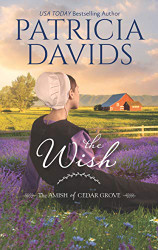 Wish: A Clean & Wholesome Romance (The Amish of Cedar Grove)