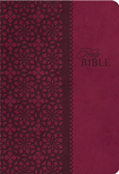 KJV Study Bible Leathersoft Red/Pink Thumb Indexed Red Letter