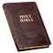 Leather KJV Holy Bible Red Letter Edition Bible