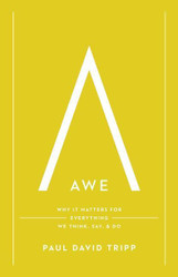 Awe: Why It Matters for Everything We Think Say and Do