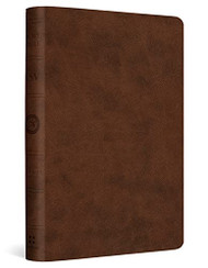 ESV Value Compact Bible (TruTone Brown)
