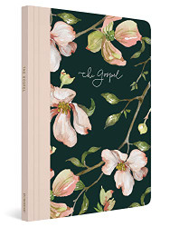 ESV Prayer Journal: 30 Days on the Gospel