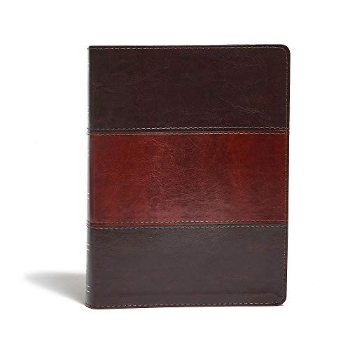 KJV Study Bible Saddle Brown LeatherTouch Indexed
