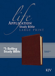 KJV Life Application Study Bible Large Print - Red Letter