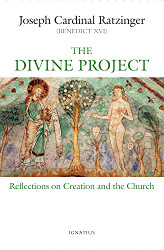 Divine Project: Reflections on Creation and the Church