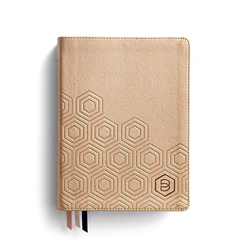One Step Closer Bible NLT - Gold