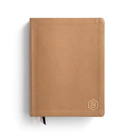 One Step Closer Bible: Large Print Edition - Tan NLT