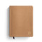 One Step Closer Bible: Large Print Edition - Tan NLT