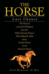 Horse: Last Chance