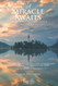 Miracle Awaits: Encountering Christ in His Church