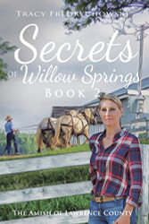 Secrets of Willow Springs - Book 2