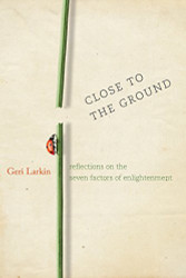 Close to the Ground: Reflections on the Seven Factors