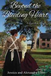 Beyond the Bleeding Heart: A Tale of the American Civil War