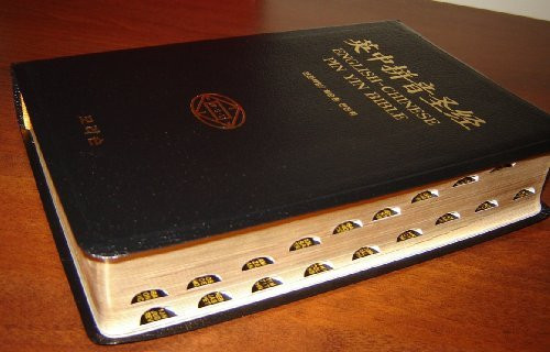Ying zhong pin yin sheng jing / English-Chinese Pin Yin Bible