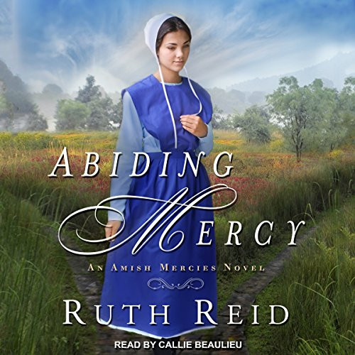 Abiding Mercy: Amish Mercies series Book 1