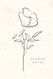 Sermon Notes Journal for Women