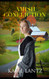 Amish Confliction