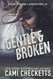 Gentle & Broken (Quinn Romance Adventures)
