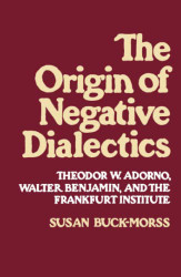 Origin of Negative Dialectics