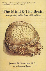 Mind and the Brain