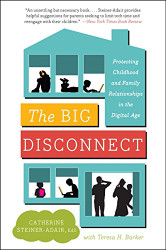 Big Disconnect: Protecting Childhood and Family Relationships