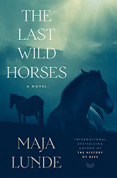 Last Wild Horses: A Novel