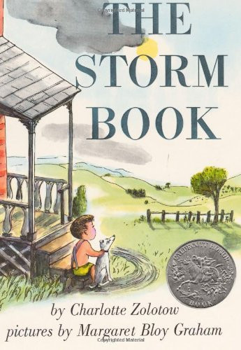 Storm Book: A Caldecott Honor Award Winner