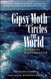Gipsy Moth Circles the World